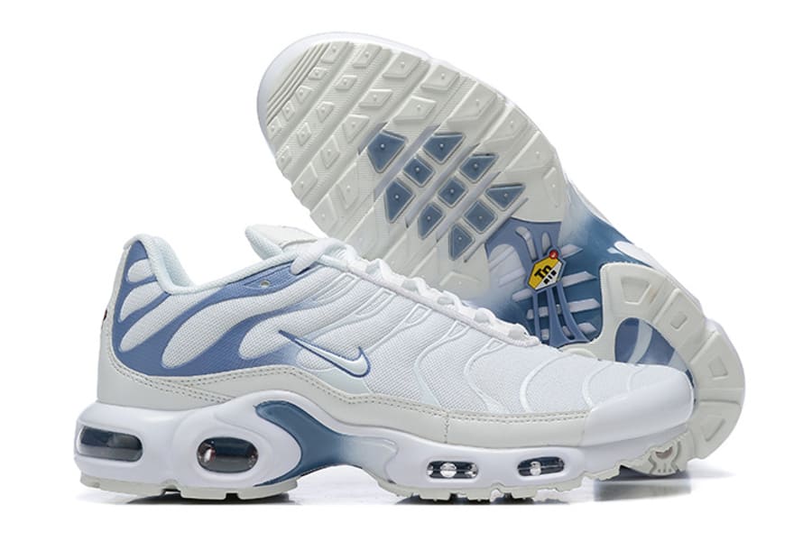 Nike Air Max TN Plus "Ashen Slate"