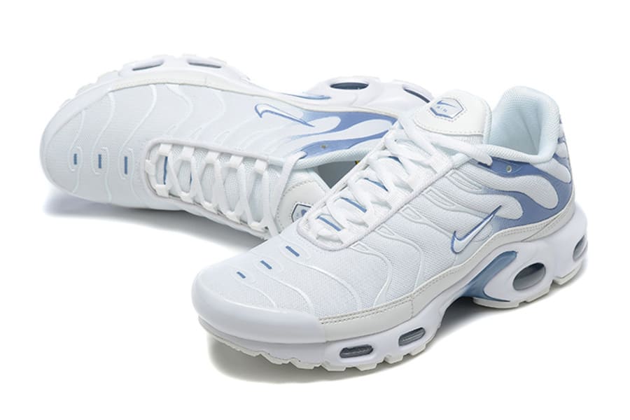 Nike Air Max TN Plus "Ashen Slate"