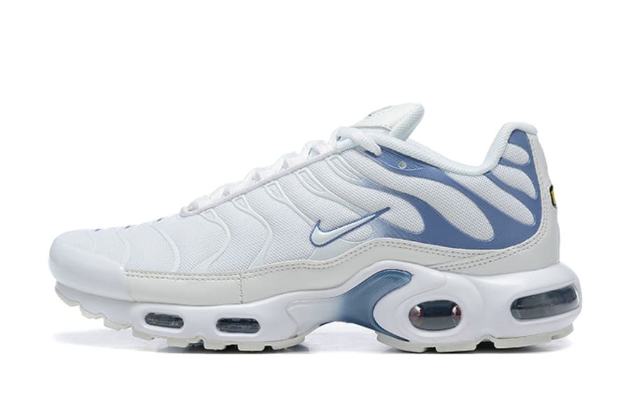 Nike Air Max TN Plus "Ashen Slate"